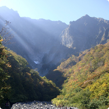 院長　獣医師　平林 泰成