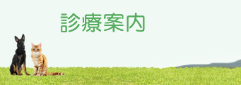 診療案内